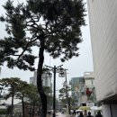 GS25 혜화대명점 | [혜화맛집] 소개팅이나 모임하기 좋은 대학로 퓨전 파스타 맛집 “팔오구 코리안 비스트로”