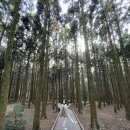 한림로 638번길 188인근 | [제주] 🌴🍊3박 4일 알차게 제주도 여행하기🍊🌴