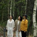 의신 베어빌리지 이미지