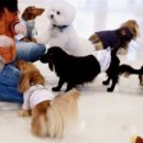 코코앤몽 이미지