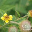 장군의땅 이미지