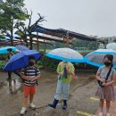 동홍초등학교 이미지