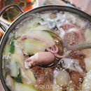 웅도낙지
