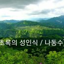 초록 이미지