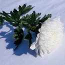 화수로 14번길 이미지