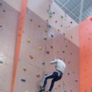 봄내체육관 이미지