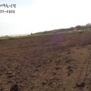 성읍리-10 이미지