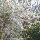 지리산 외갓집 이미지