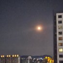 부어치킨 도당점 | 일상_임신후기 발목붉어짐, 빽보이피자, 교촌레허반반, 지옥에서 온 단호박, 땡모반, 상동 홈플러스...