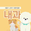 해온동물의료센터 이미지