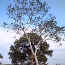 제창농장 이미지