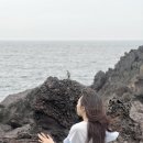 깡아지미용실 이미지