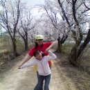 비봉농원 이미지