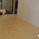 네이처스튜디오 이미지
