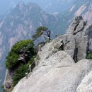 황산주 이미지