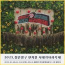 양구돌산령지게놀이 | 2025 청춘양구 펀치볼 시래기사과축제 일정 프로그램 공연 라인업