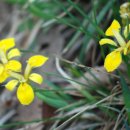 올림픽공원역 1번출구 이미지