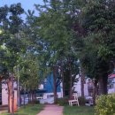 신락어린이공원 이미지