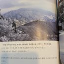 효빈나라 이미지