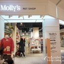 신세계 애견미용샵 이미지