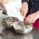 원트리투어 이미지