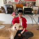 김용지 카카오 검색결과