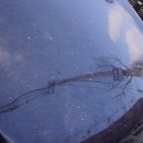 유성세차장 이미지