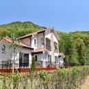 쉬자파크 이미지