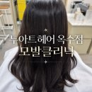 윤미헤어 | 누아트헤어 옥수점 윤미 디자이너님 모발클리닉 후기