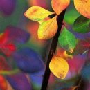 새마음목장 이미지