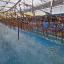 미래약품 주식회사 이미지