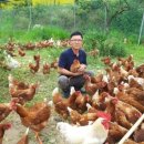 태은농장 이미지