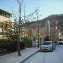 진남중학교 이미지