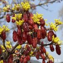 봄과가을이 이미지