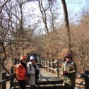 관악산 무장애숲길 이미지