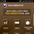 김공주