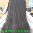 정미영.머리를세우다 네이버블로그