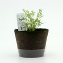 팜팜농장 이미지