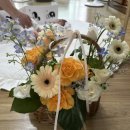 장미로30번길 이미지