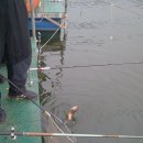 신선낚시터 이미지