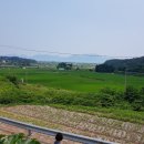 마당공인중개사사무소 이미지