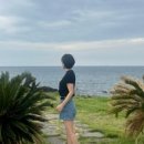 월하스테이 이미지