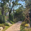 흥천중학교 이미지