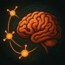 현저 공중화장실 | 강박장애(OCD), 당신 잘못이 아닙니다