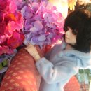 리에브르 이미지