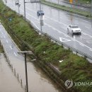 간선-49 이미지