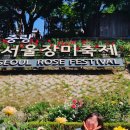 태릉입구역 3번출구 버스정류장 | 더웠지만 예뻤다｜친구랑 다녀온 태릉입구역 바로 앞 중랑 장미축제 후기