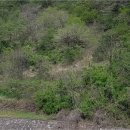 노곡면 하반천리 마을회관 | (2017타경1324) 강원 삼척시 노곡면 하군천리 128-5 &lt;&lt;토지(전)낙찰비결 상담&gt;&gt; [더에이스]