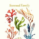 보태니컬 일러스트 이미지