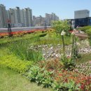 서구청 옥상생태공원 이미지